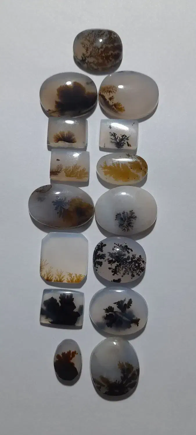 کلکسیون نگین شجرمصور معاوضه با انگشتر اوپال زبرجد|کلکسیون اشیاء عتیقه|زنجان, |دیوار