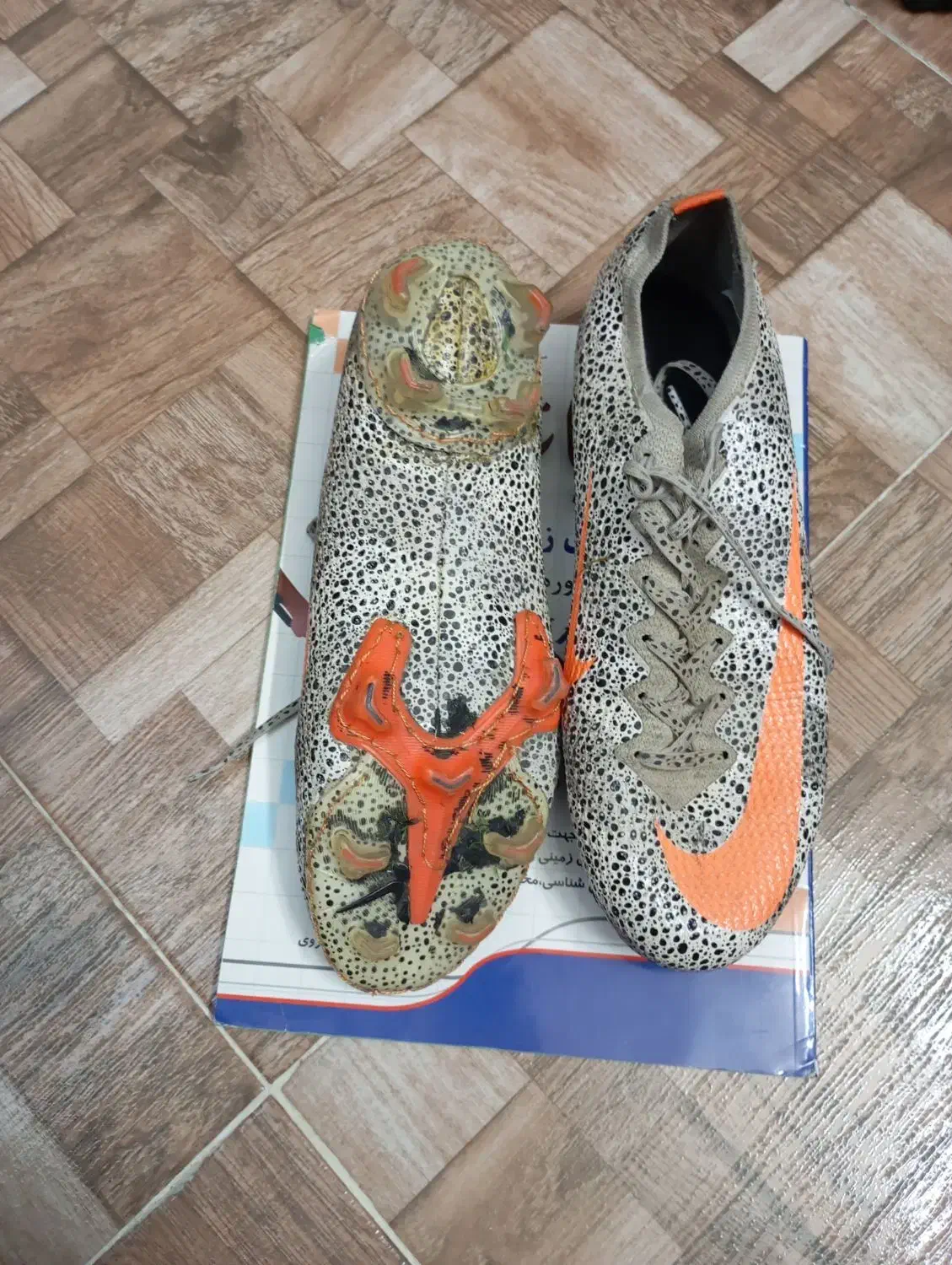 کفش ورزشی|کیف، کفش، کمربند|شیراز, لاله|دیوار