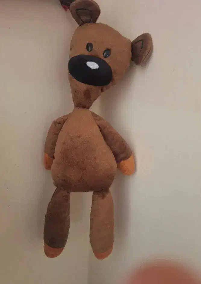 عروسک|اسباببازی بچه|فریمان, |دیوار