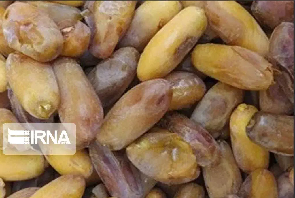 خرمای شاهانی خاوران|خوردنی و آشامیدنی|راهگان, |دیوار