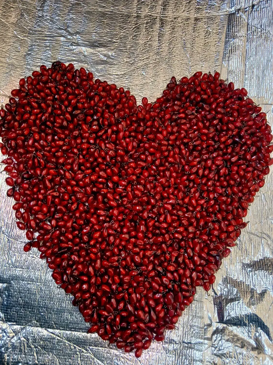 دانه انار یلدایی|بدلیجات|اردبیل, |دیوار