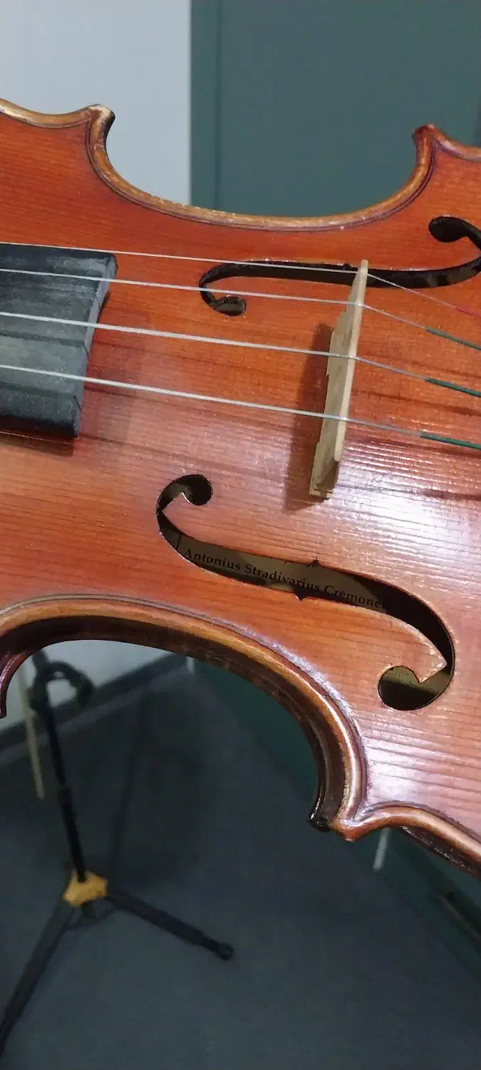 فروش ویولن|ویولن|اهواز, آریاشهر|دیوار