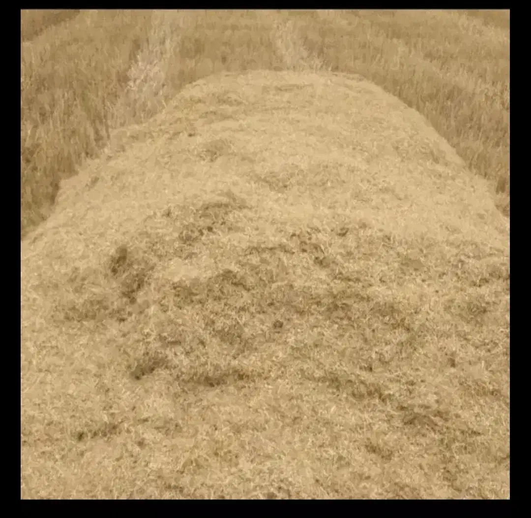 کاه فروش|لوازم جانبی حیوانات|آبدانان, |دیوار