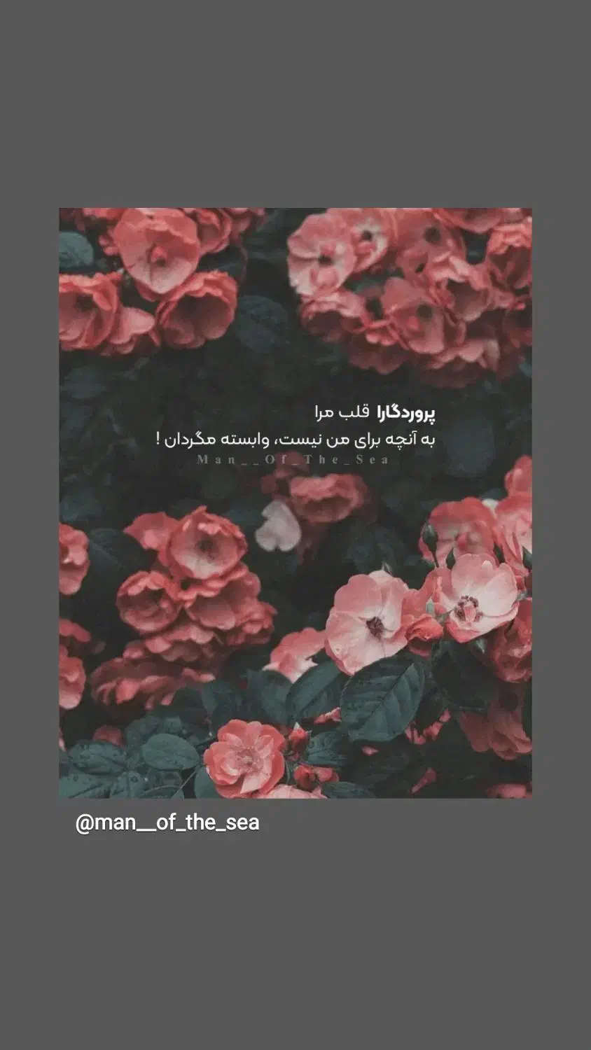 خواهان کمکم|فعالیت داوطلبانه|مرند, |دیوار