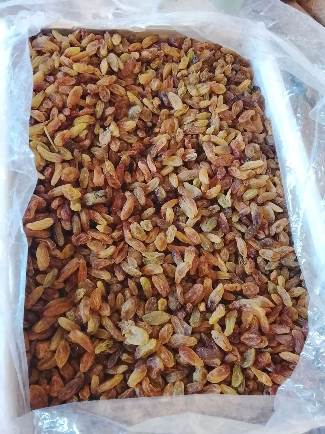 گردو بادام کشمش|عمدهفروشی|نیشابور, شهید بهشتی|دیوار