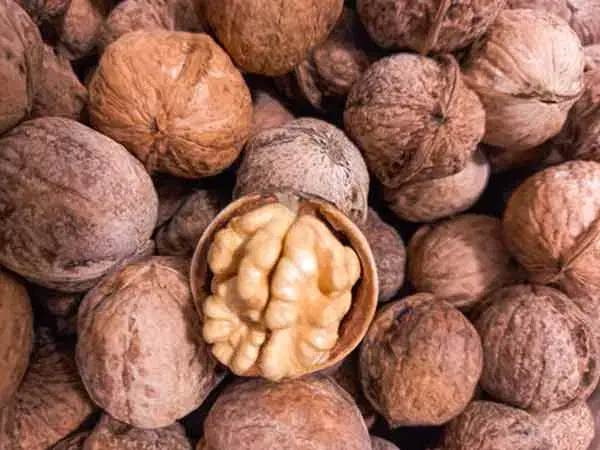 گردو درجه یک|خوردنی و آشامیدنی|خوانسار, |دیوار