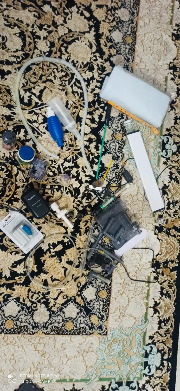 آکواریوم|ماهی|فولادشهر, C5|دیوار