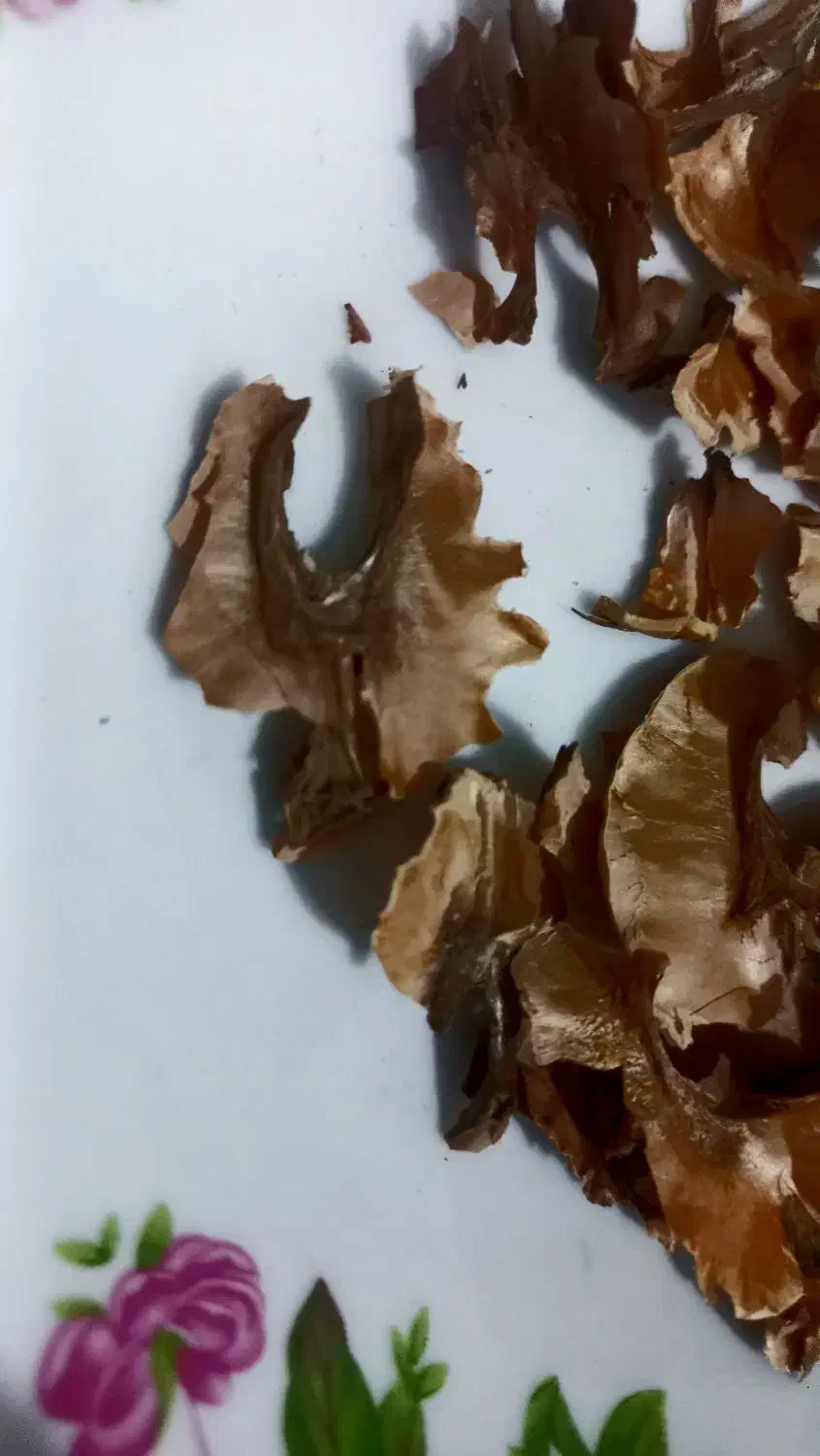 پرده گردو خشک بستهبندیشده دمنوش طبیعی و خانگی|خوردنی و آشامیدنی|گرگان, |دیوار