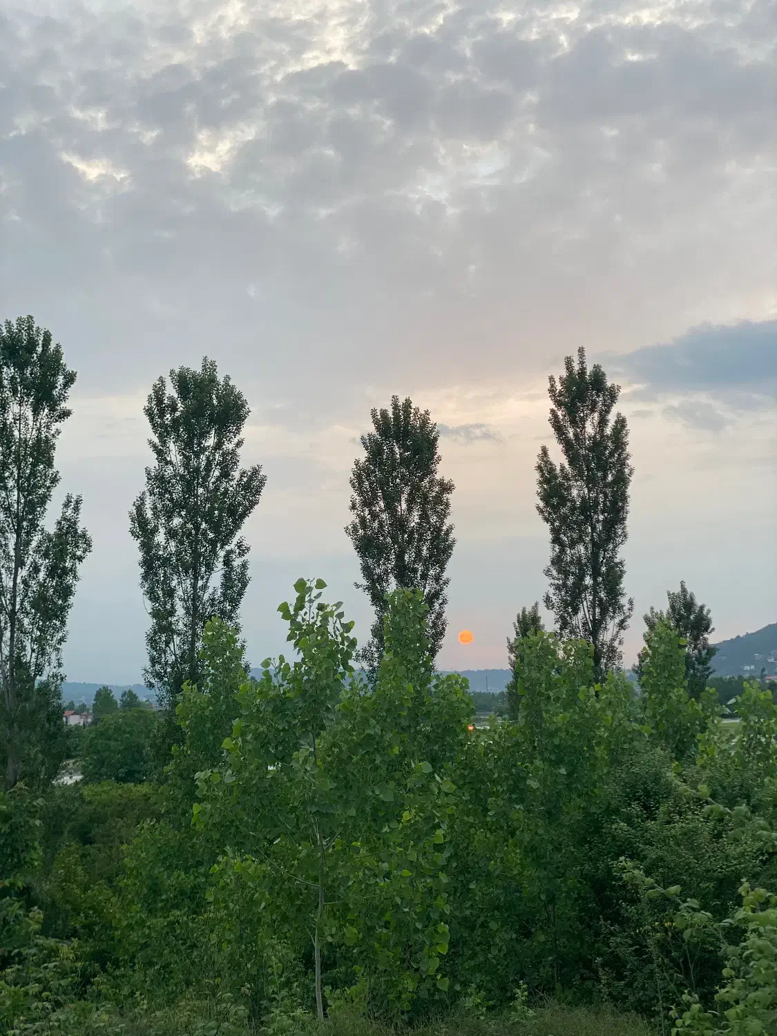 زمین مسکونی|فروش زمین و ملک کلنگی|مرزیکلا, |دیوار