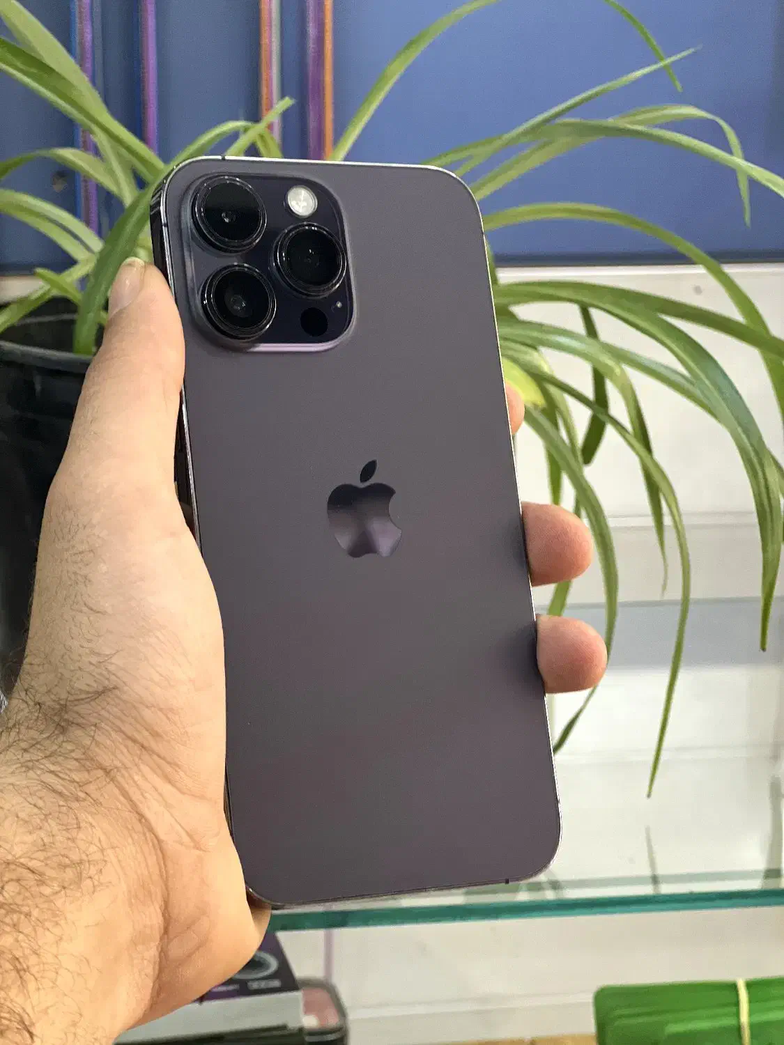 ip 14 pro max|موبایل|رامهرمز, |دیوار