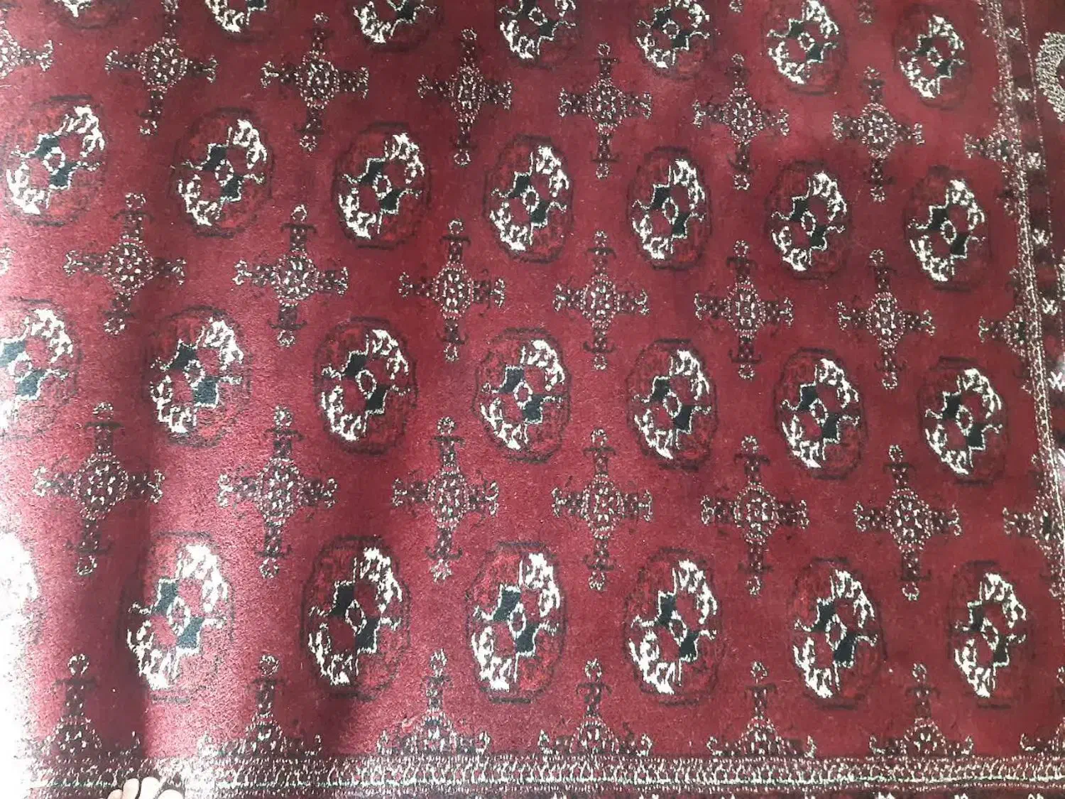 فرش دستباف|فرش|گنبد کاووس, |دیوار