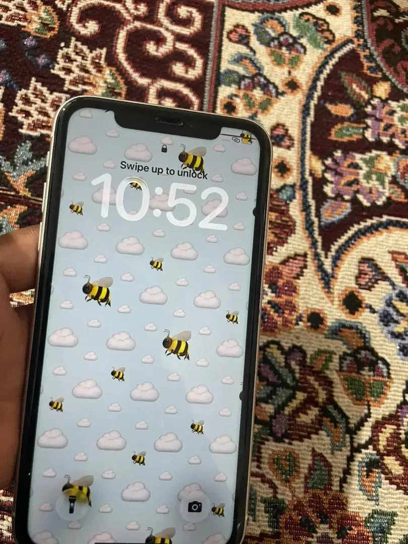 آیفون 11نرمال|موبایل|قشم, |دیوار