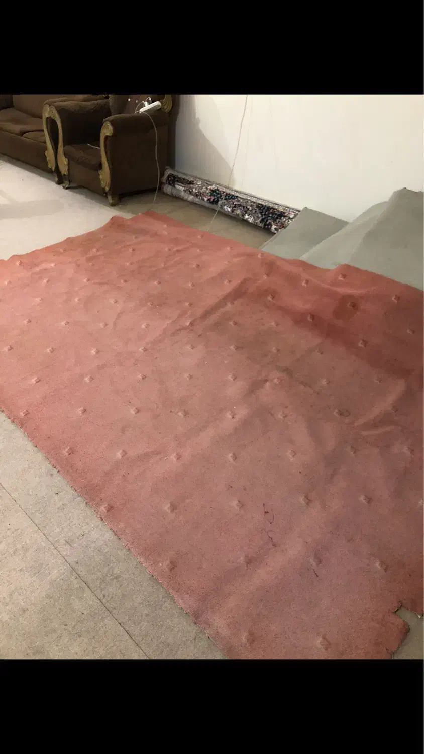 موکت پالاز|موکت|اهواز, گلستان|دیوار