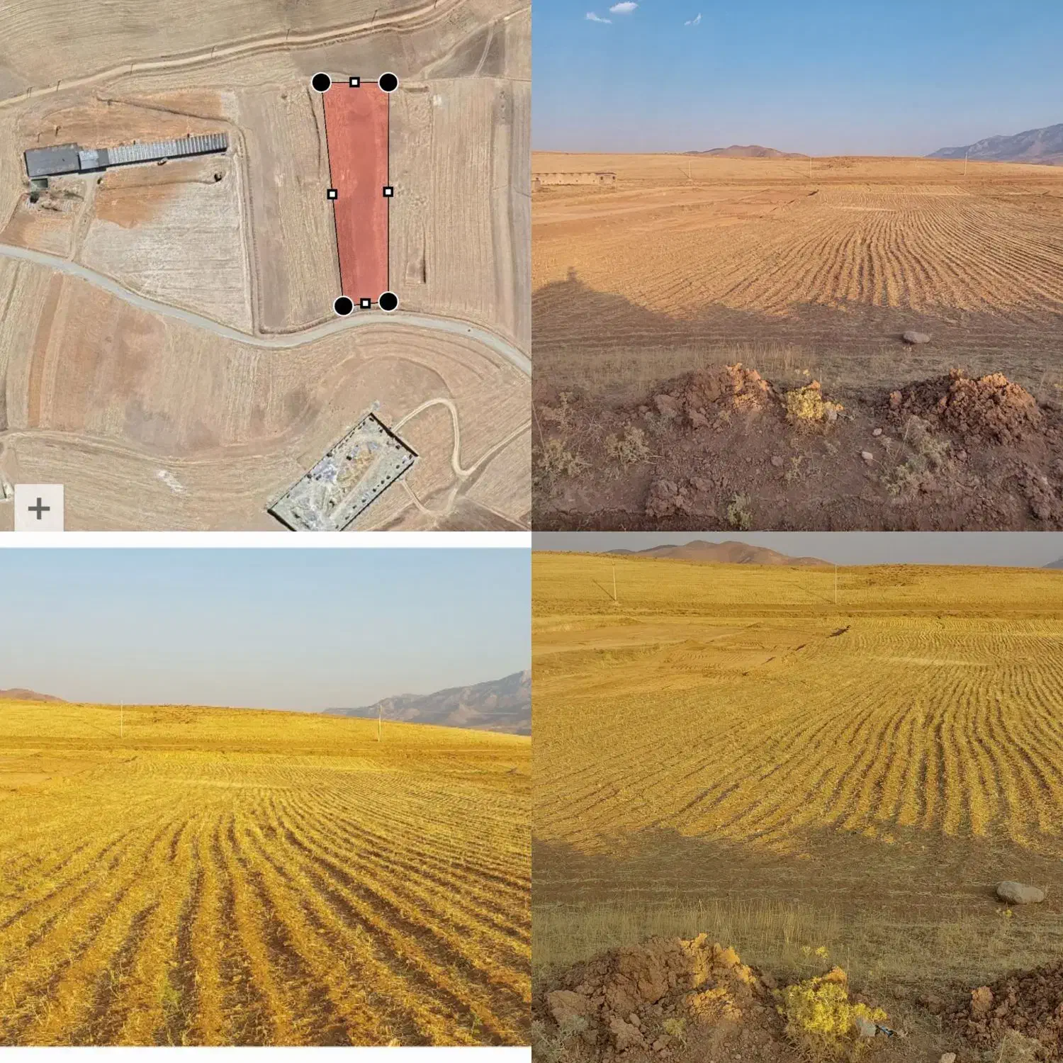 زمین کشاورزی ۳۵۶۰هزار متر در شهر سورشجان|فروش دفتر صنعتی، کشاورزی، تجاری|لاران, |دیوار