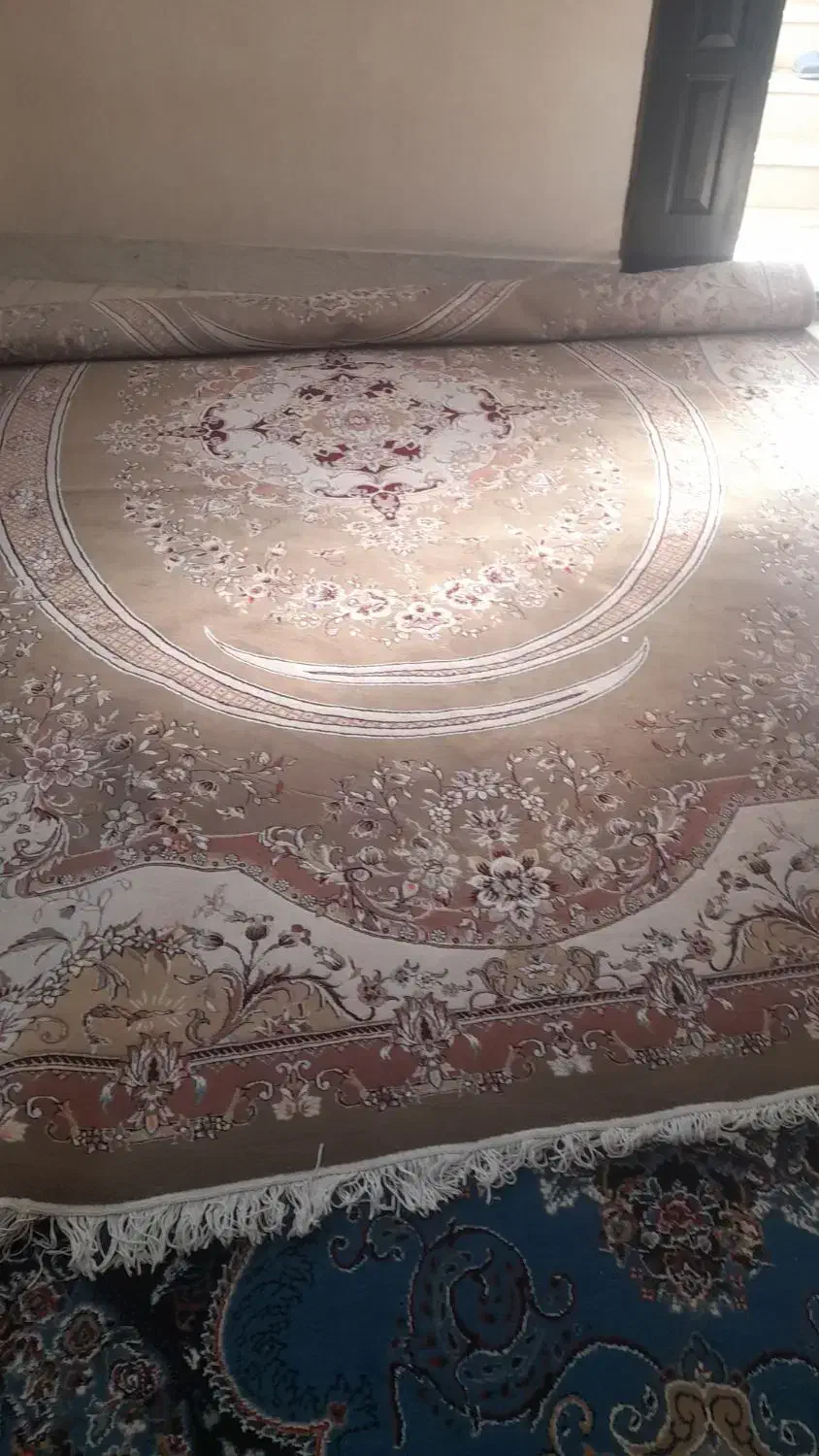 فرش ۱۲متری|فرش|بجنورد, |دیوار