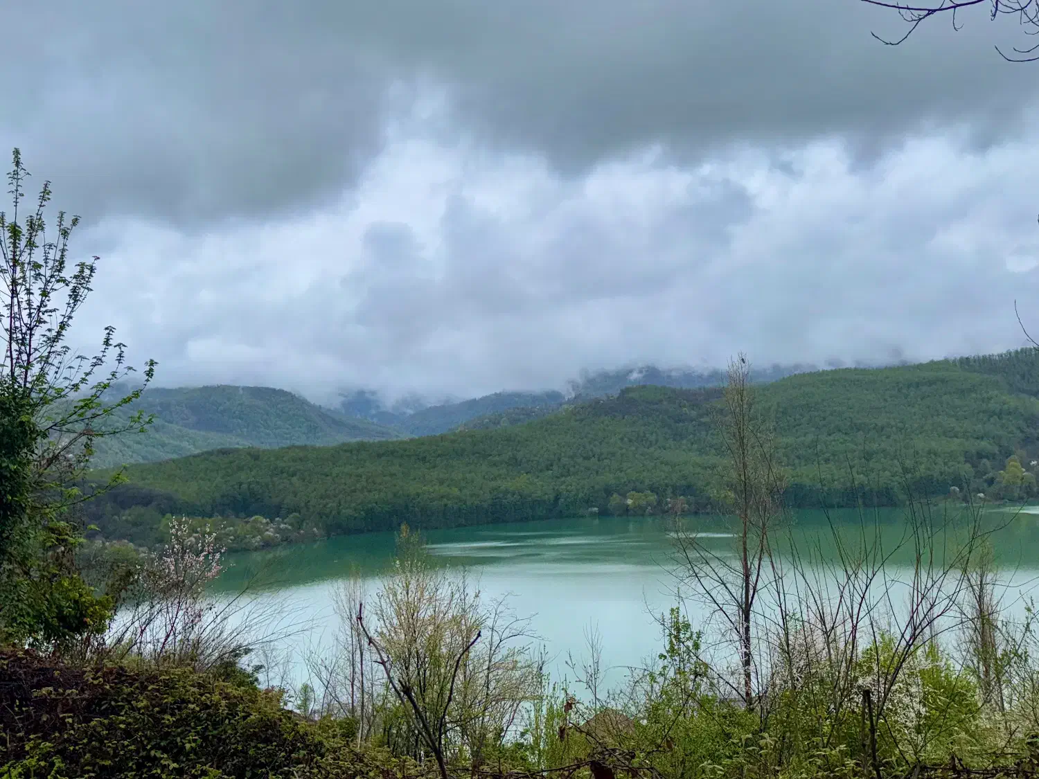 زمین ویو جنگل  در لفور|فروش زمین و ملک کلنگی|آلاشت, |دیوار