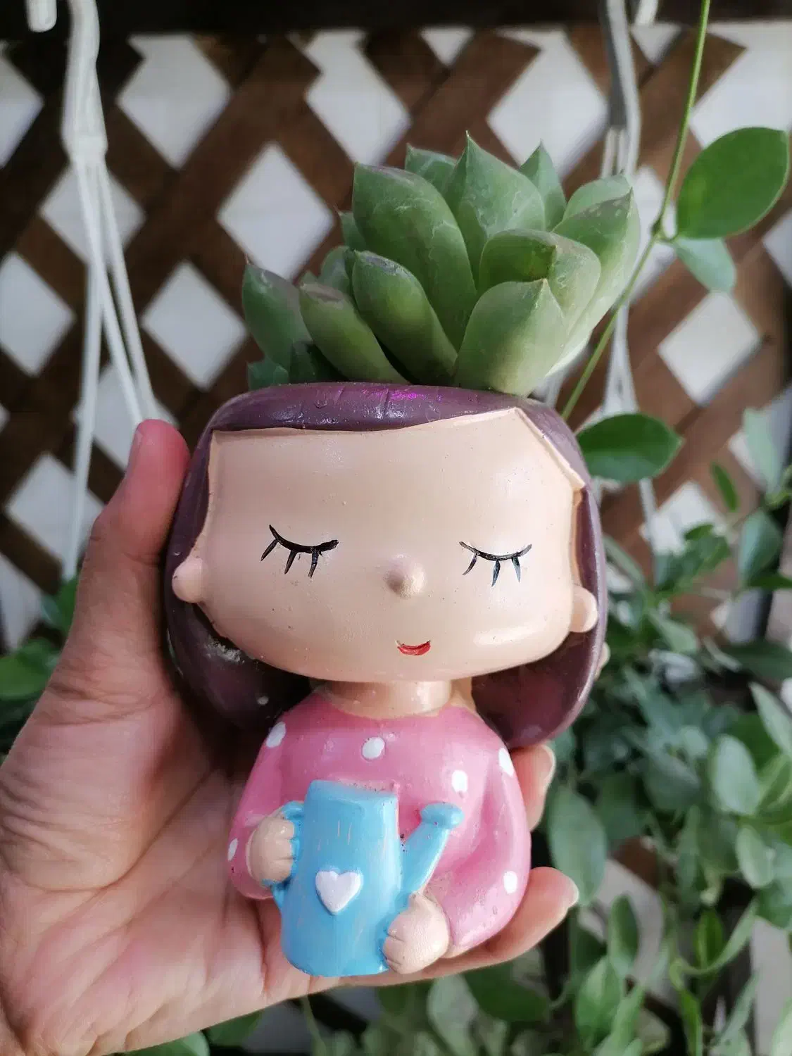 انواع گلدان فانتزی و گل آپارتمانی|گل و گیاه طبیعی|کرمان, |دیوار