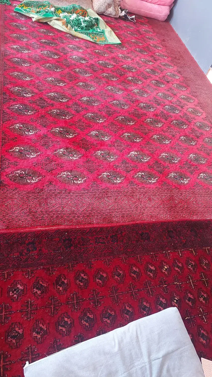 فروش فرش دست بافت پشم|فرش|رضویه, |دیوار