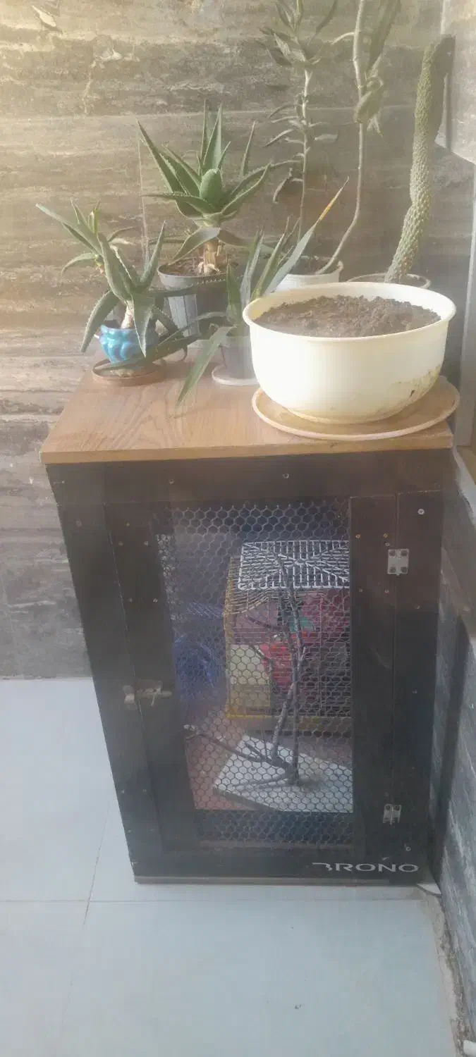 معاوضه|لوازم جانبی حیوانات|شیراز, شهرک گلستان|دیوار