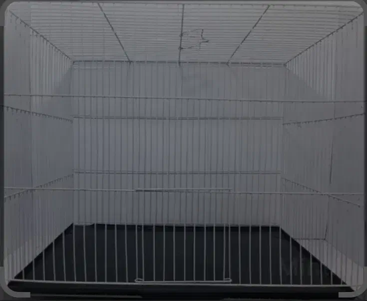 قفس پرنده سهره قناری فنچ مرغ عشق عروس طوطی برزیلی|لوازم جانبی حیوانات|تهران, مدائن|دیوار