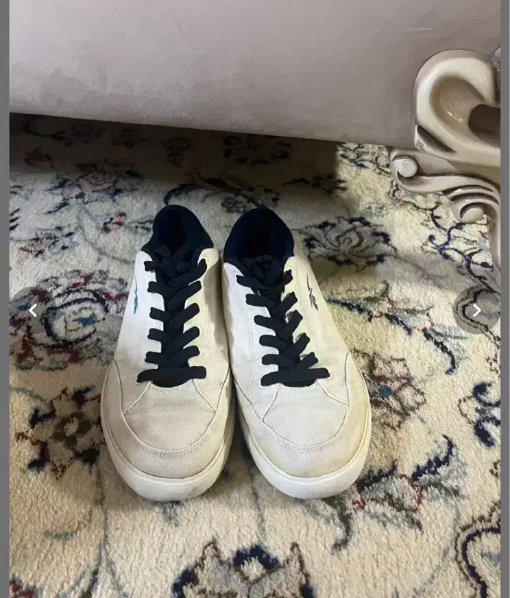 کفش|کیف، کفش، کمربند|گنبد کاووس, |دیوار