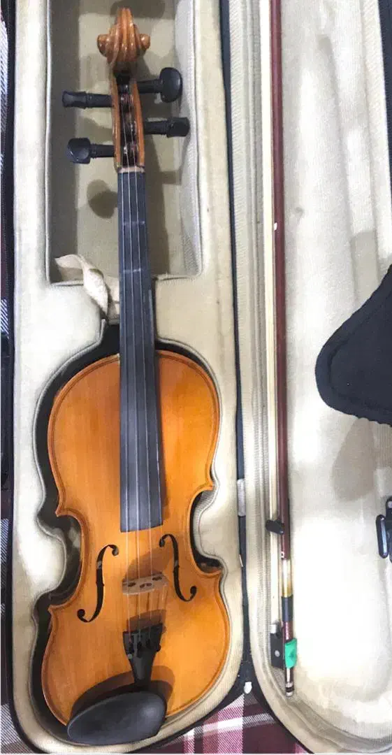 ویولن مدل ویکتور سایز ۴/۴|ویولن|یزد, |دیوار