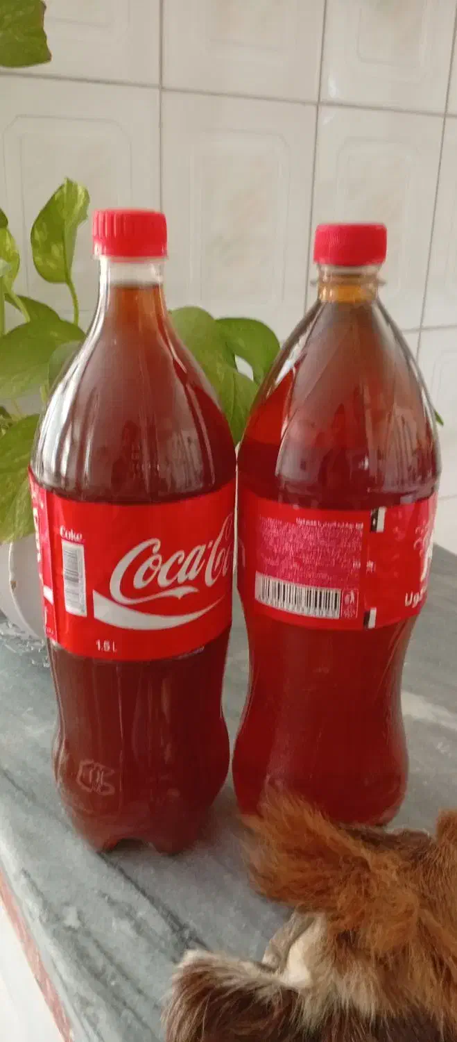 سرکه انگور|خوردنی و آشامیدنی|اسدآباد, |دیوار