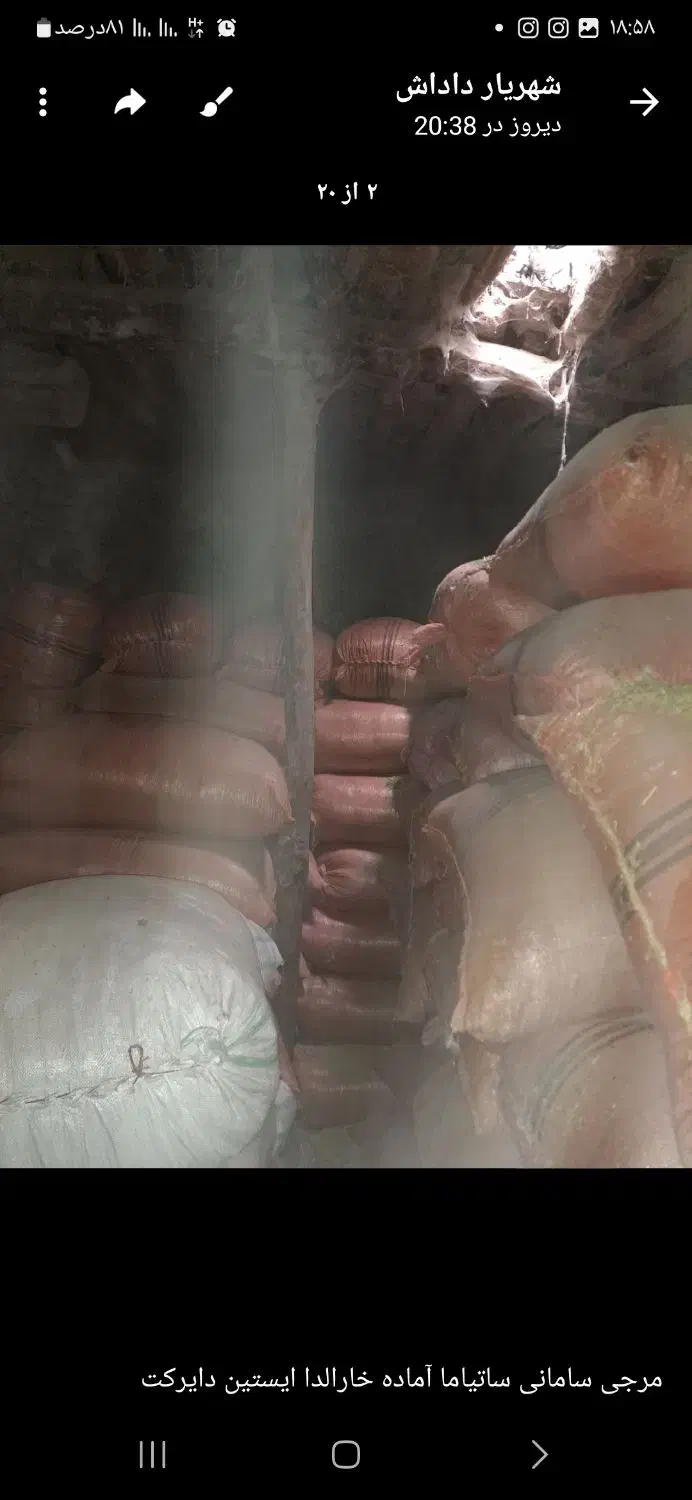 کاه عدس ا|لوازم جانبی حیوانات|هیر, |دیوار