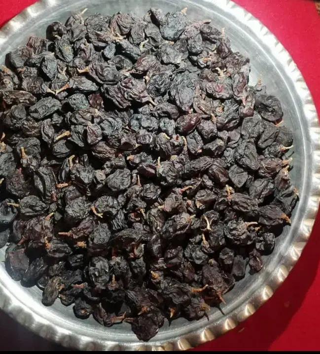 مویز|عمدهفروشی|دشمن زیاری, |دیوار