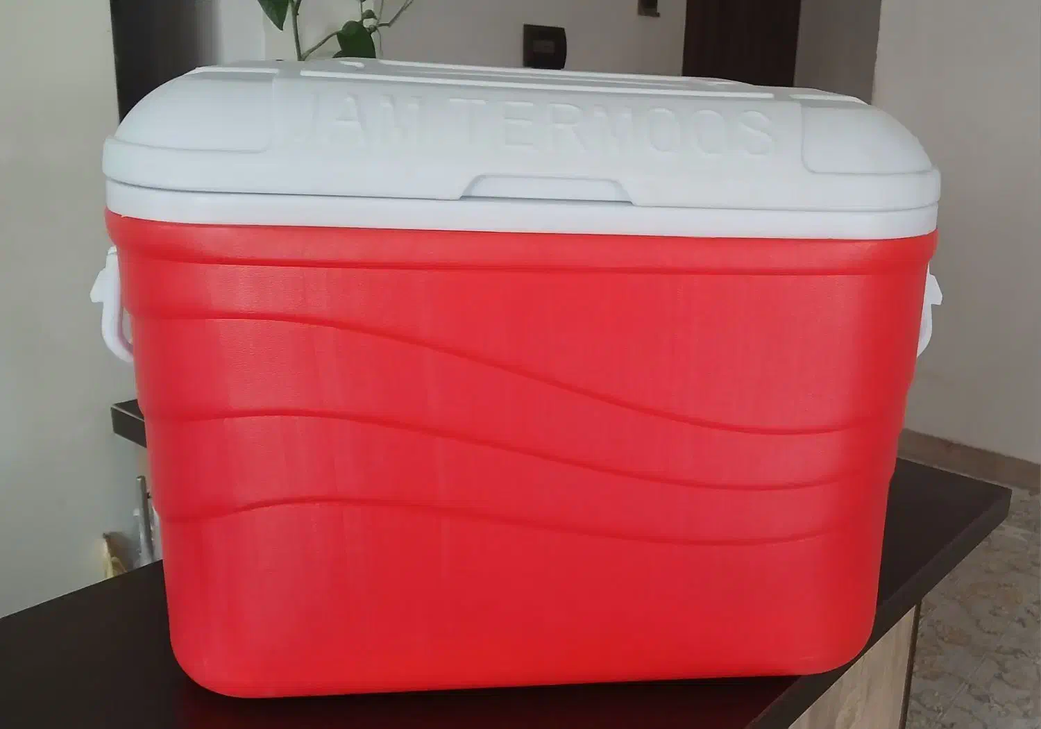 یخدان کلمن|ظروف نگهدارنده، پلاستیکی، یک‌بارمصرف|هشتگرد, شهرک فرهنگیان|دیوار