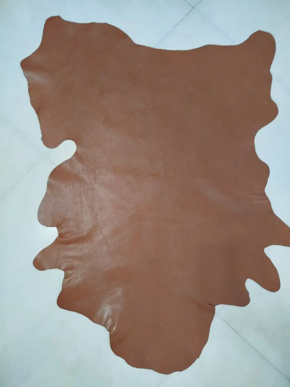 دوتکه چرم طبیعی صل اصل|کیف، کفش، کمربند|شهرکرد, |دیوار