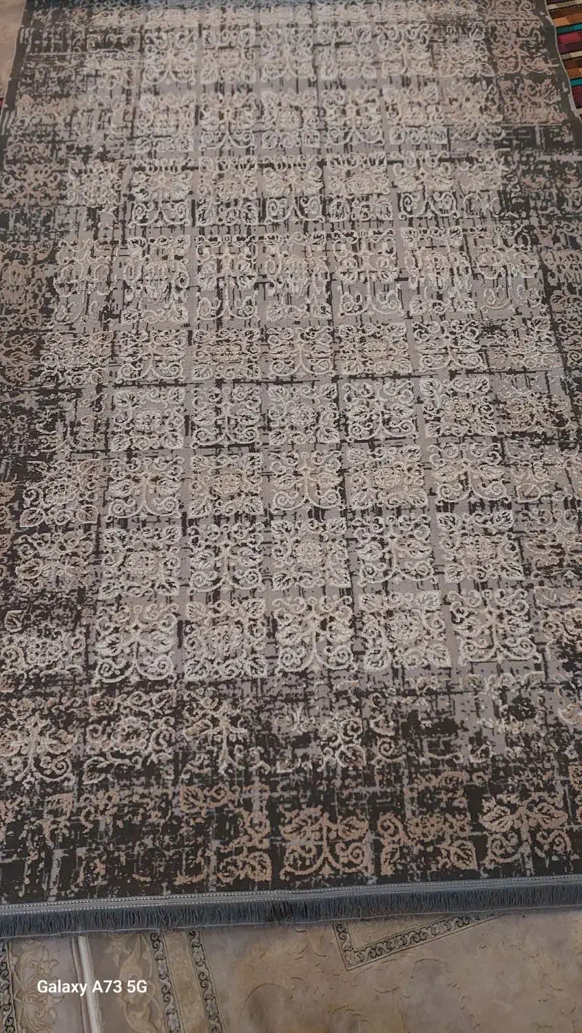 فرش|فرش|شیراز, شاه قلی بیگی|دیوار