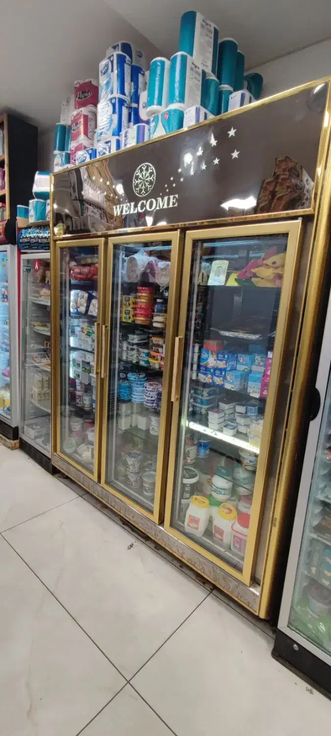 فروش یخچال ایستاده فروشگاهی|فروشگاه و مغازه|رشت, کاکتوس|دیوار