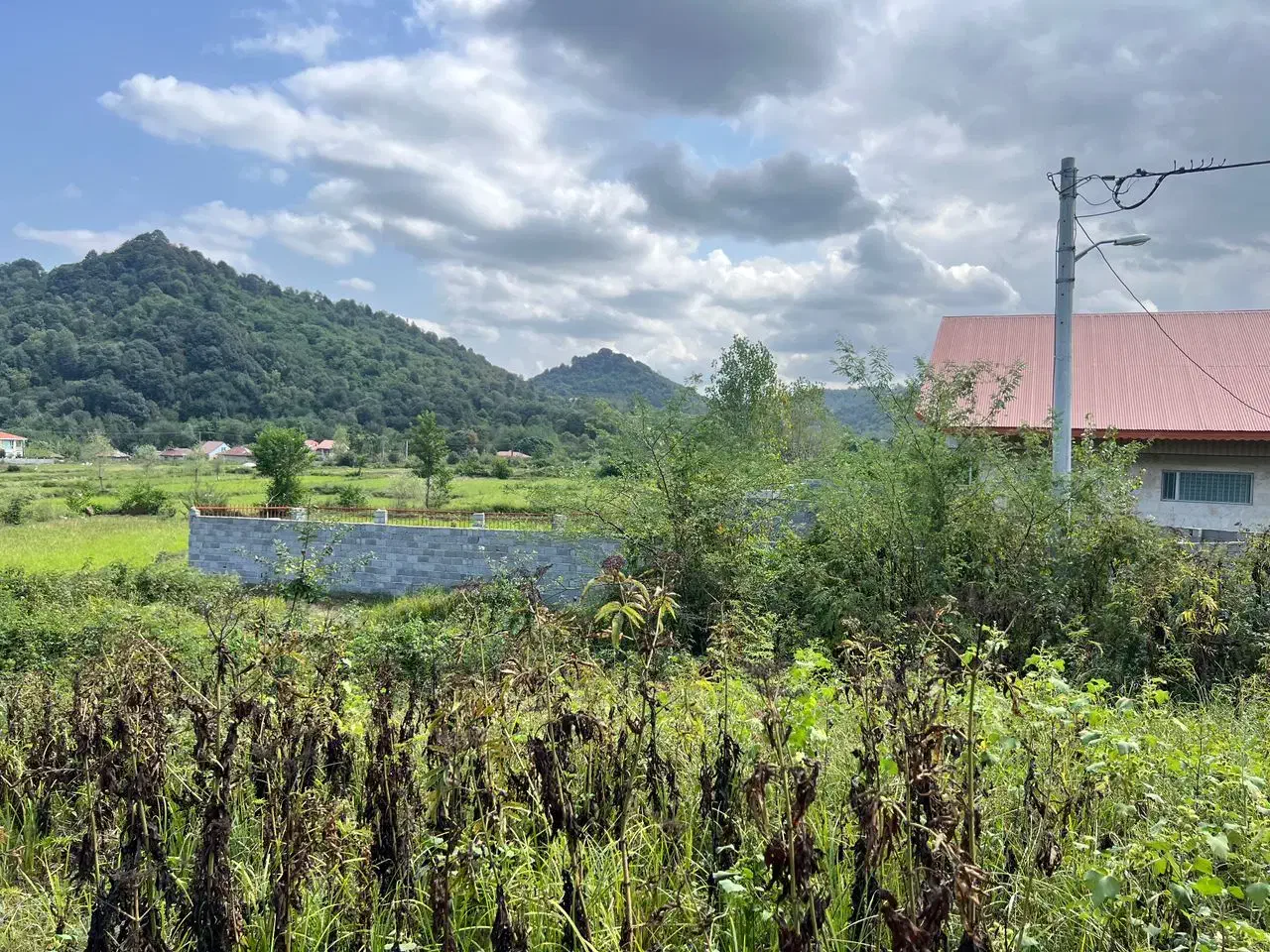 زمین جنگلی در گیلان بدون واسطه|فروش زمین و ملک کلنگی|لاهیجان, آهندان|دیوار