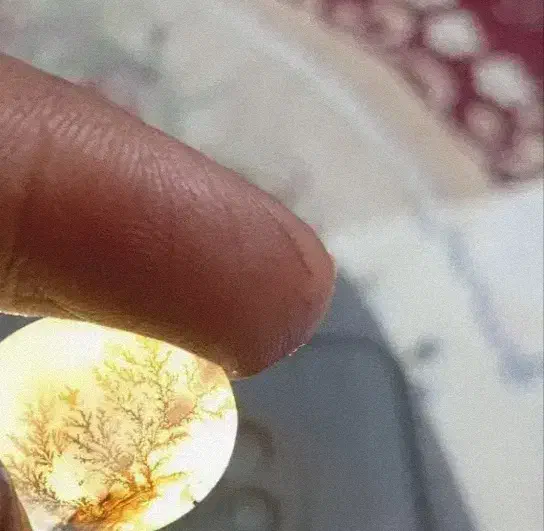 نگین سنگ شجر درخت|جواهرات|شیراز, سهل‌آباد|دیوار