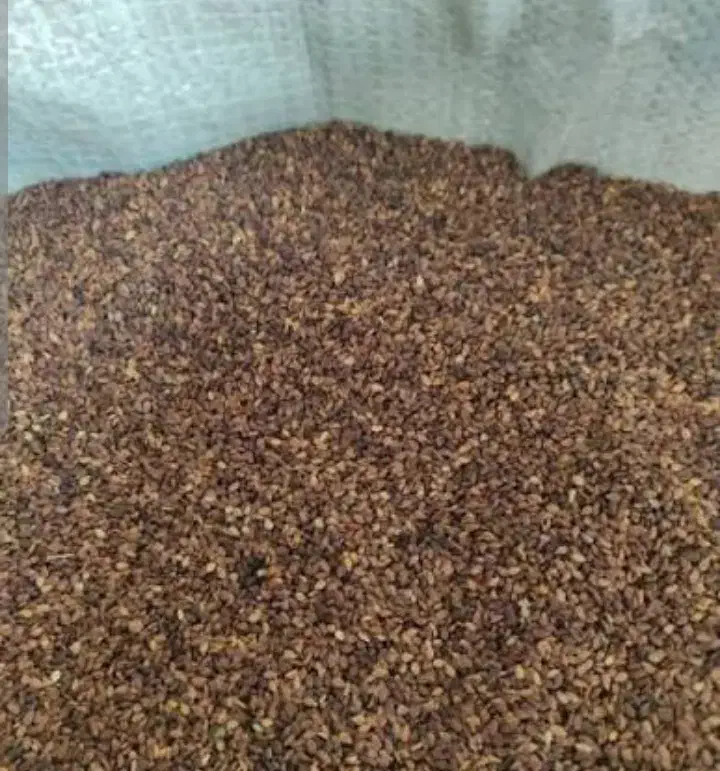 کنجد درجه یک|عمده‌فروشی|بافق, |دیوار