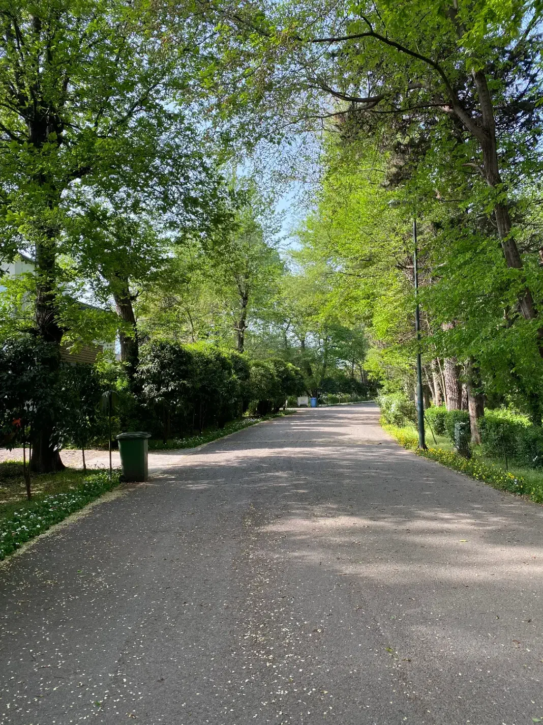 شهرک برند و میلیارد ها/فردوس رویان|فروش خانه و ویلا|رویان, |دیوار