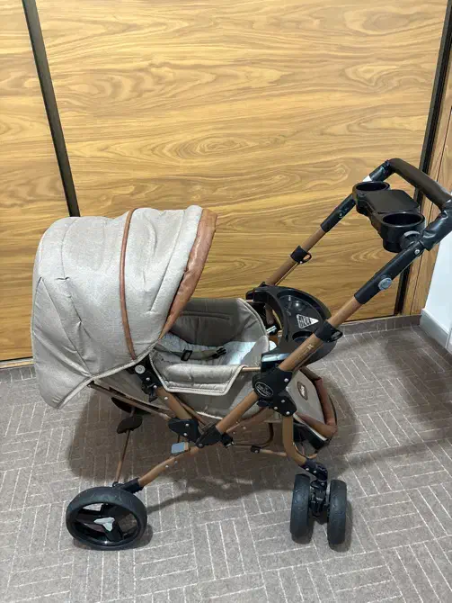 کالسکه دلیجان|کالسکه و لوازم جانبی|پارس‌آباد, |دیوار