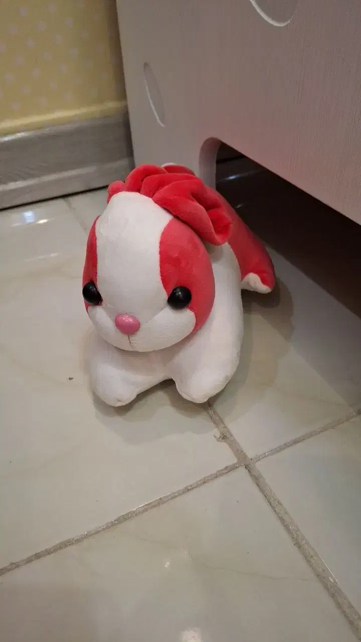 5 عددعروسکای نونو|اسباببازی بچه|همدان, |دیوار