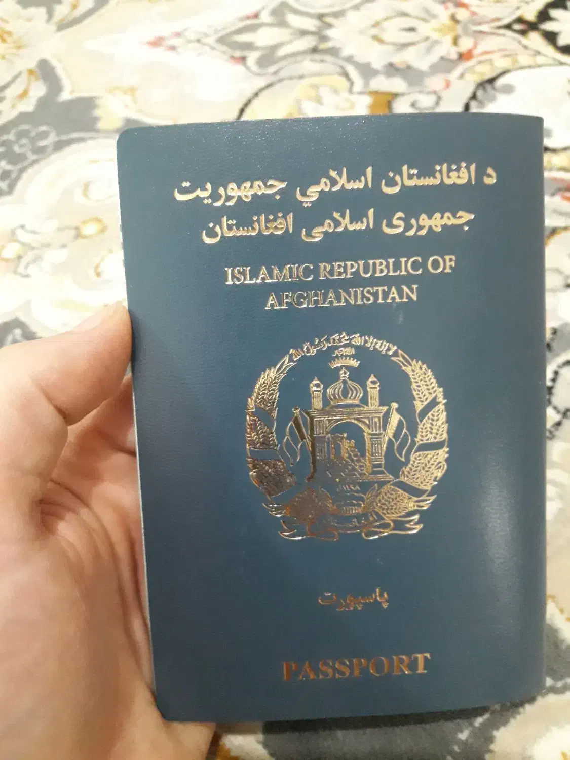 پاسپورت گم شده|اشیا|قم, شاه احمد قاسم|دیوار