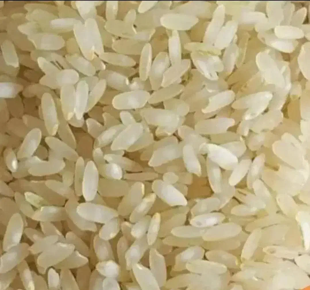 برنج کامفیروزی|خوردنی و آشامیدنی|کامفیروز, |دیوار