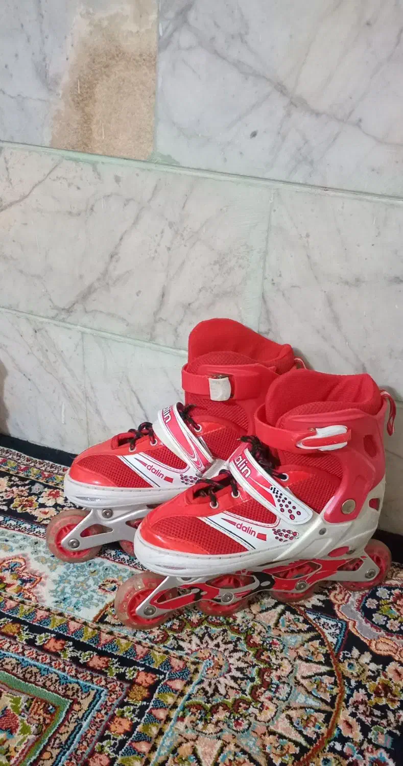 کفش|کیف، کفش، کمربند|ملایر, |دیوار