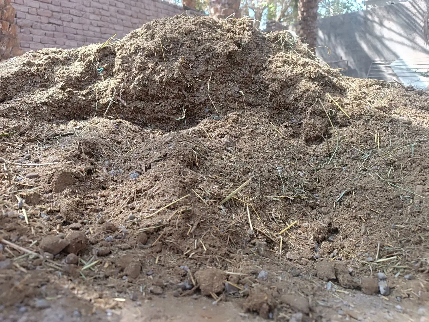 خاک گوسفند و اسب یک دست|گل و گیاه طبیعی|بم, |دیوار