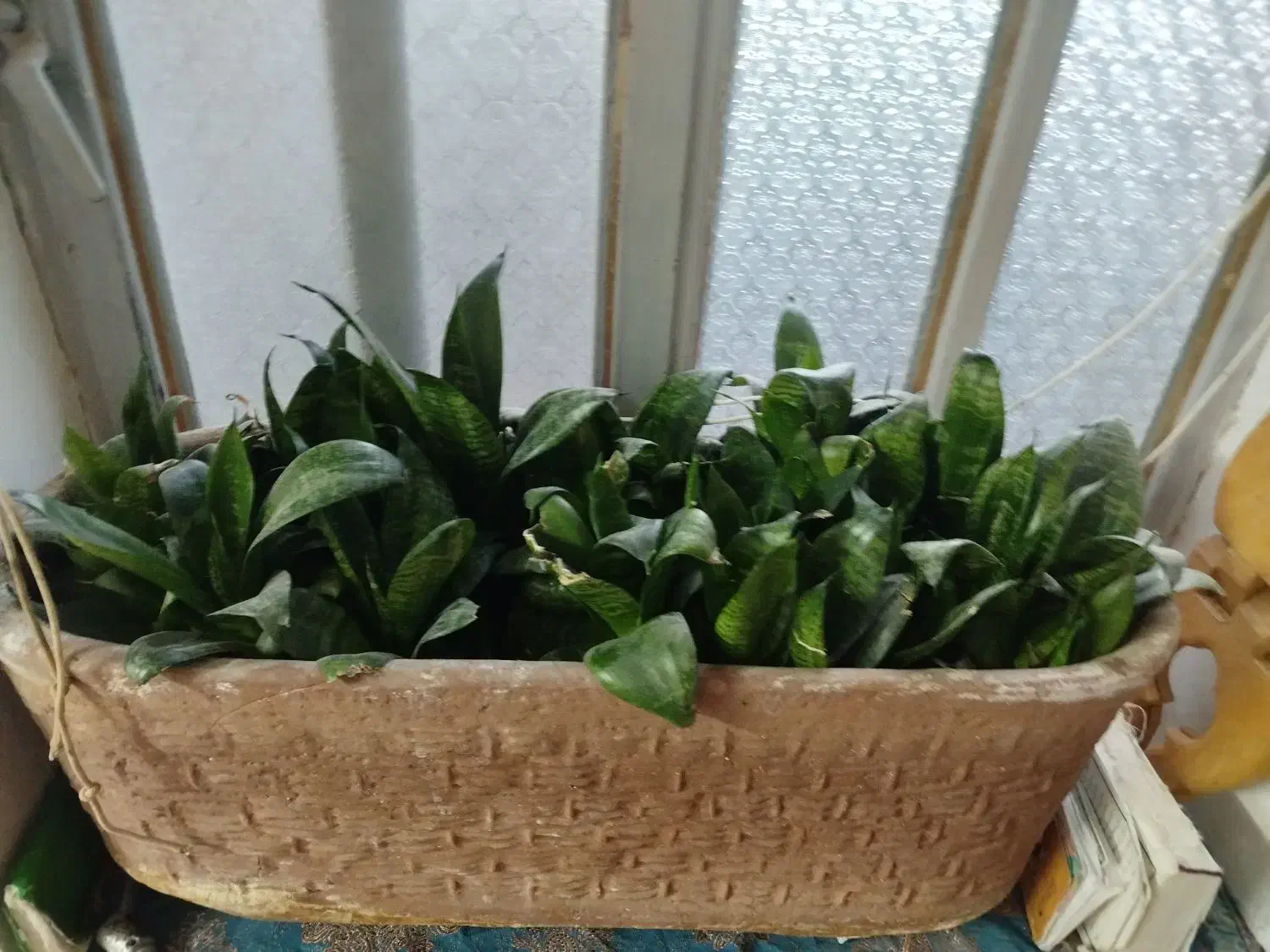 جاکفش|جاکفشی، کمد، دراور|میبد, |دیوار