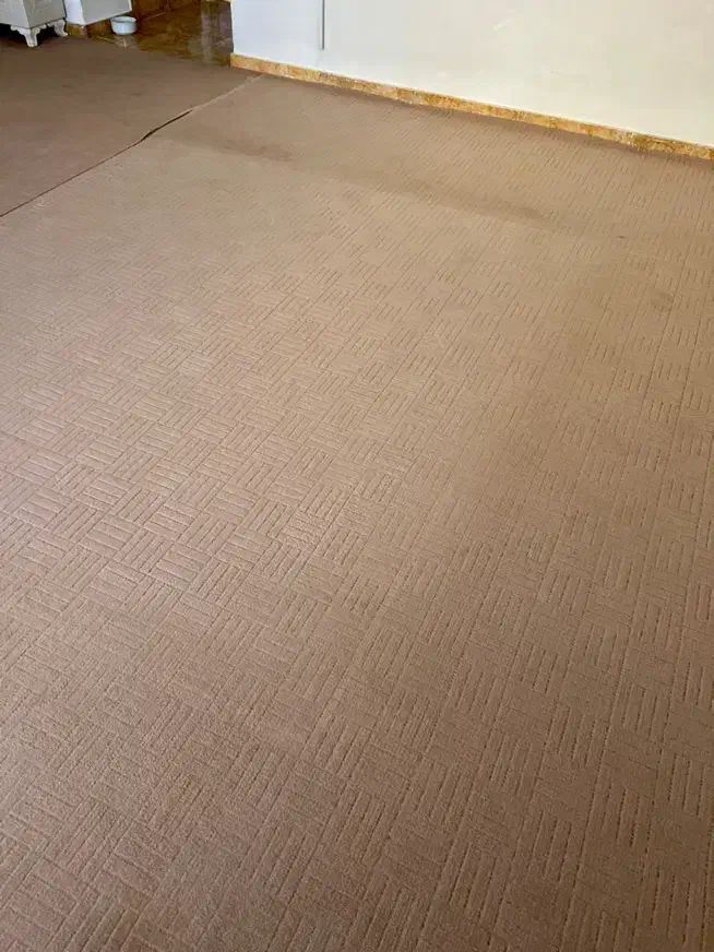 دو تکه موکت|موکت|نظرآباد, شهرک فرهنگیان|دیوار