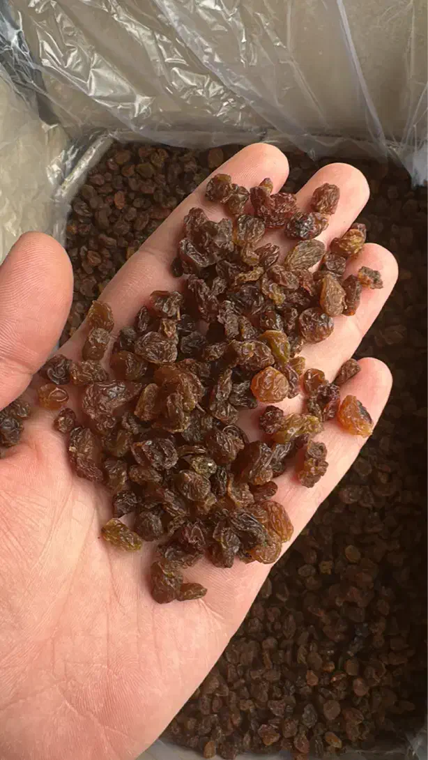 کشمش|خوردنی و آشامیدنی|قزوین, |دیوار