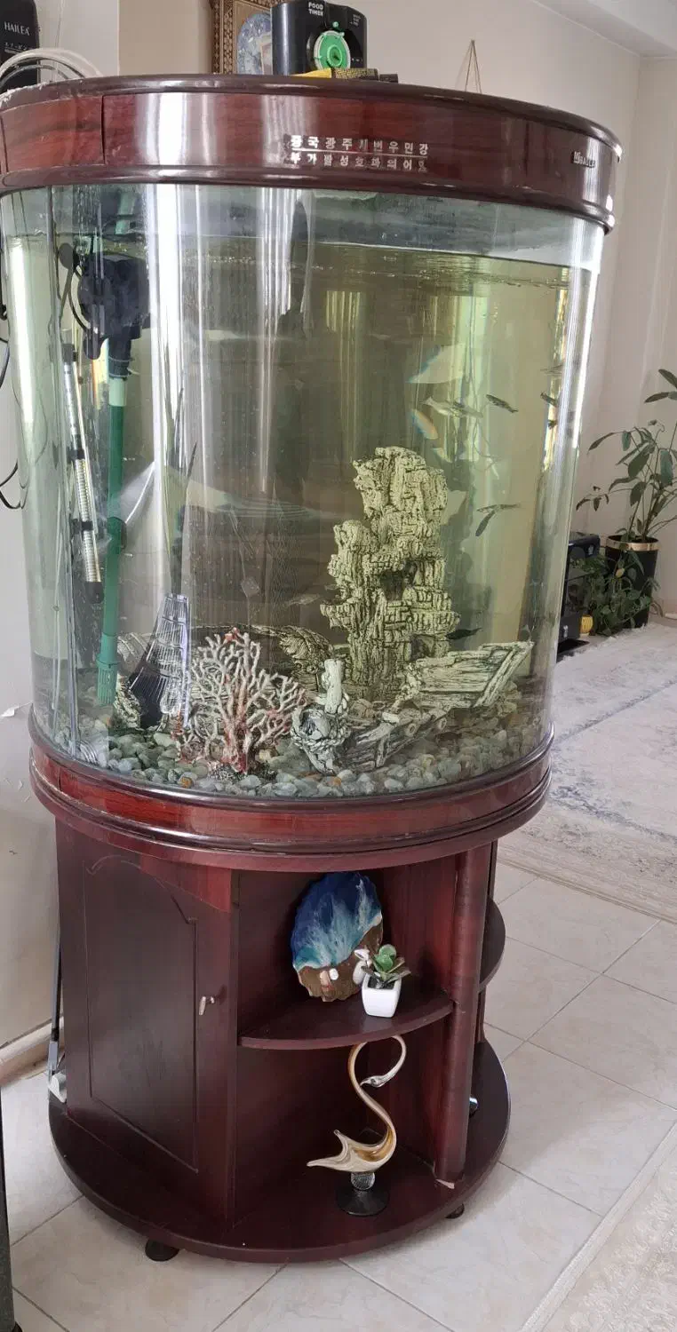 فروش آکواریوم|ماهی|جم, |دیوار