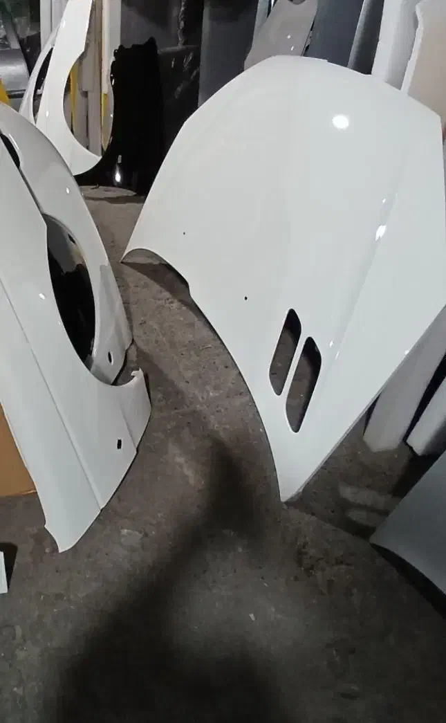 گلگیر کاپوت رنگی پارس ۲۰۶ تیبا پراید|قطعات یدکی و لوازم جانبی|شیراز, شهرک رضوان|دیوار