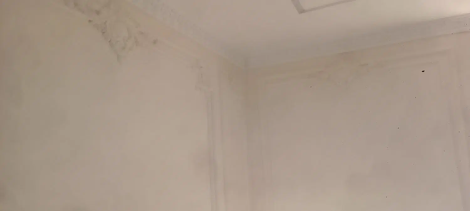 نقاشی ساختمان معین|خدمات پیشه و مهارت|اراک, |دیوار