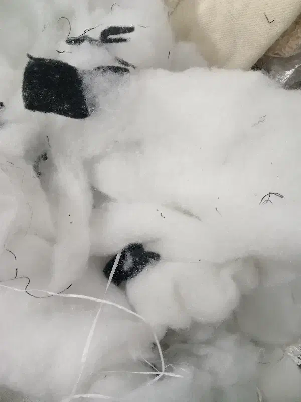 خرده پشم ریشه سالم سالم و تمیز|رختخواب، بالش، پتو|باسمنج, |دیوار